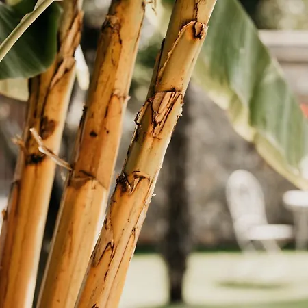 Antico Borgo Marcemigo Bed and Breakfast 3*